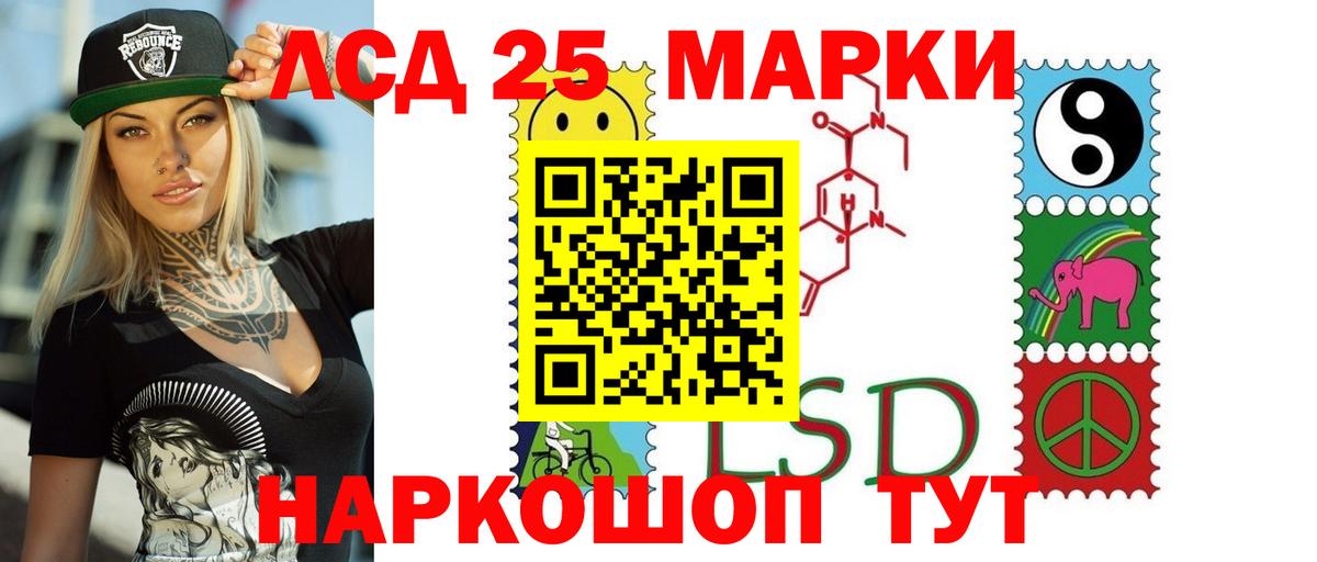 Альфа ПВП Кудрово