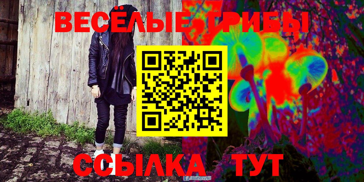 Псилоцибиновые грибы прущие грибы Кудрово